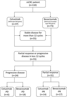 Gut microbiota composition in chemotherapy and targeted therapy of patients with metastatic colorectal cancer